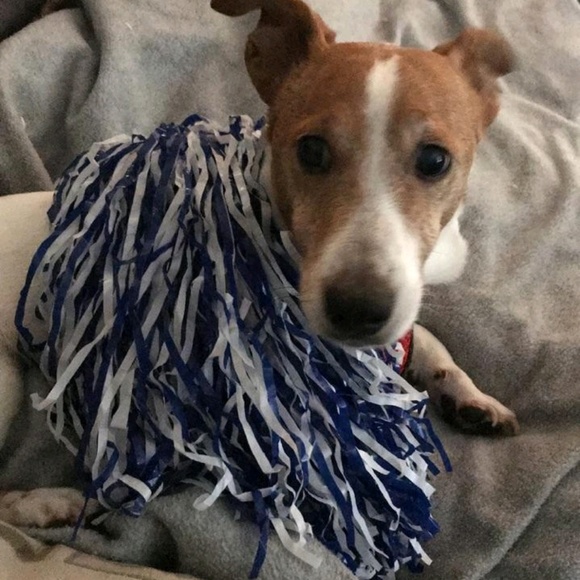 Meet your Posher, Beth - Picture 1 of 1